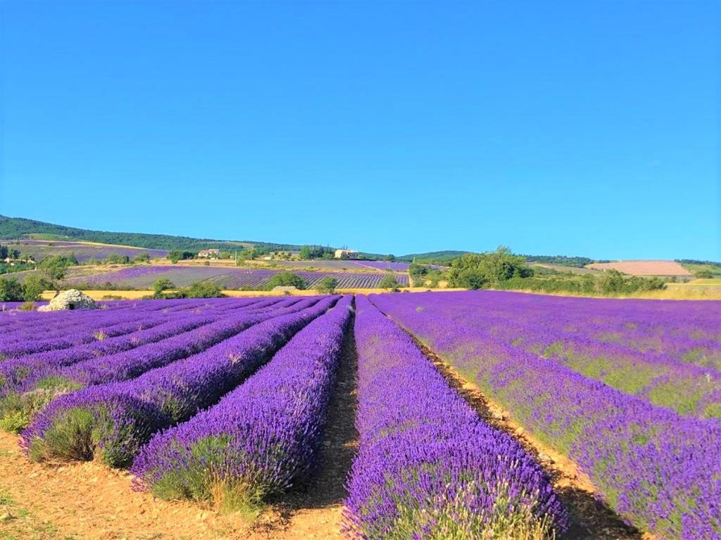 Domaine Du Val De Sault Hotel ภายนอก รูปภาพ